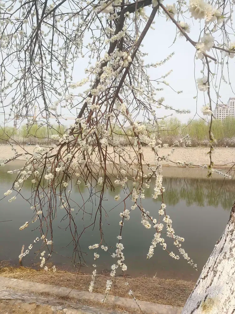 华体会登陆-包含北京北运河新冠军产生,庆祝盛大的词条 第2张 华体会登陆-包含北京北运河新冠军产生,庆祝盛大的词条 第2张