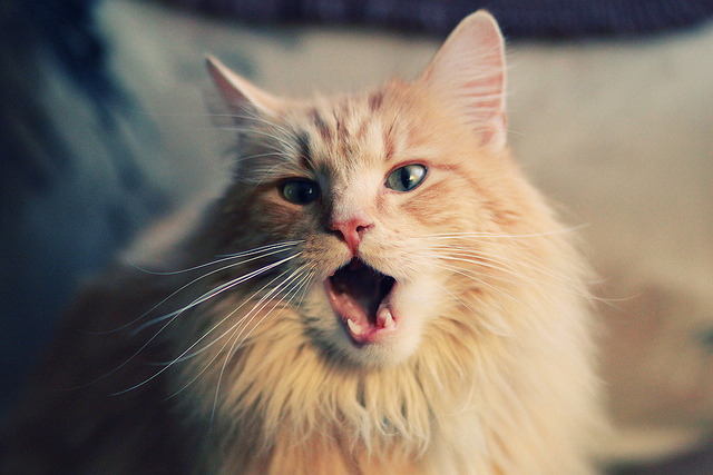 华体会体育-跨界德比，曼联在西甲国家德比焦点战中正面击溃苏格兰的唯一性传奇  第2张